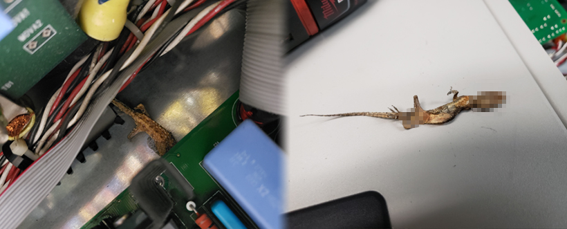 a lizard is laying on a white surface next to a motherboard of a Eaton/Powerware 9330-30kVA UPS