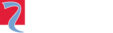 Riello-Logo-Negative